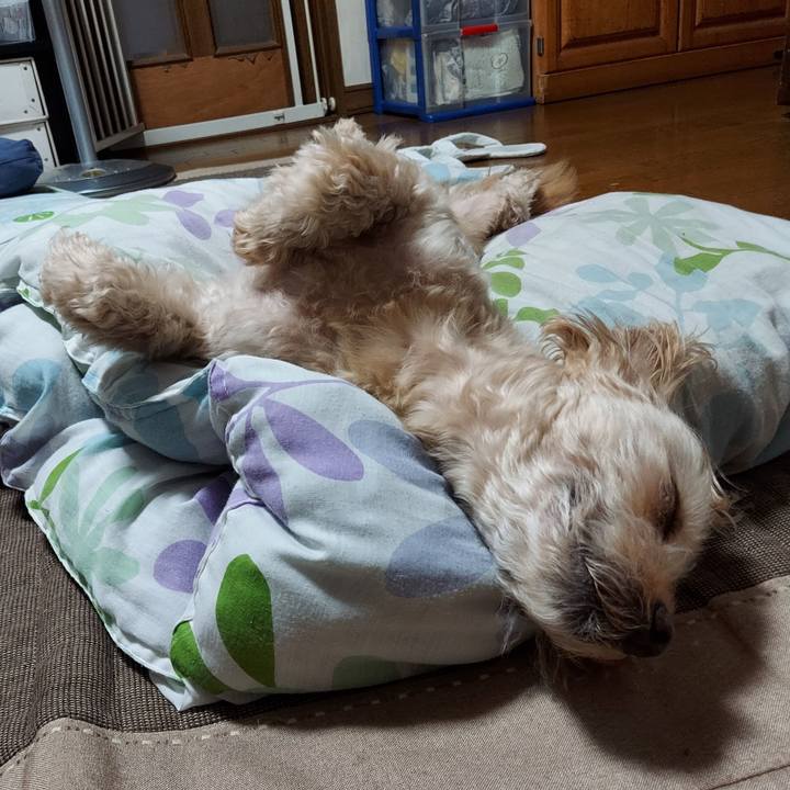 558ddd17 0a38 4240 aa3c 831a9c6b2bdd 1754466945674