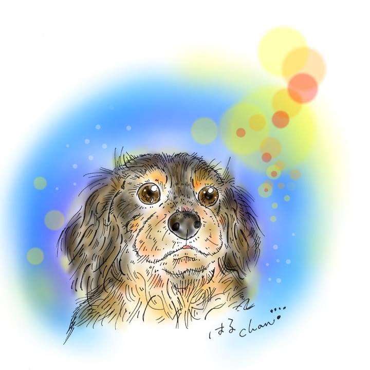 558ddef3 8835 4311 859d e1c6a39792c1 1587224814223