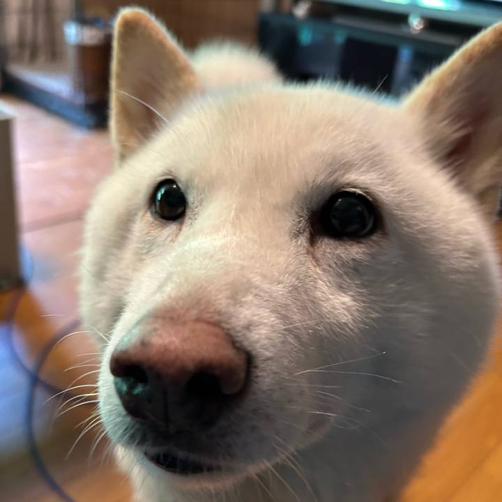 558dfea8 1f89 49fc a738 e82f86030cec 1748727464396