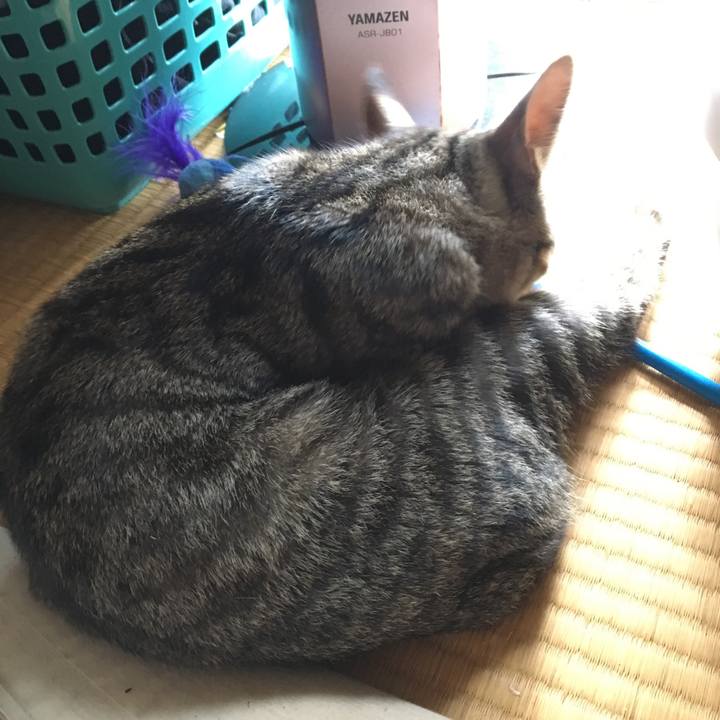 558e2239 73bd 4c4a b815 b1d2ba17fbe1 1537236364857