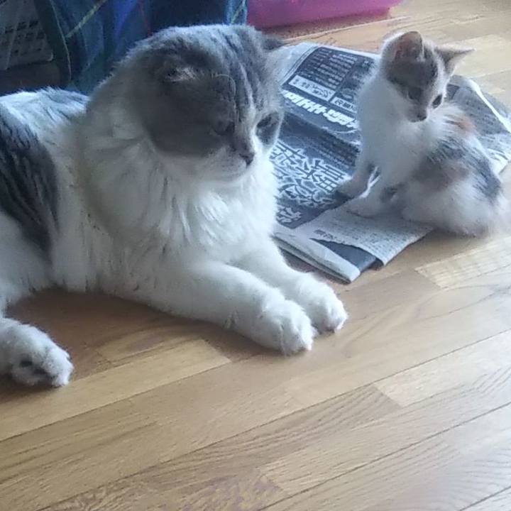 558e378c 0c6a 4caf bd7b 093a37e09c14 1632882991704