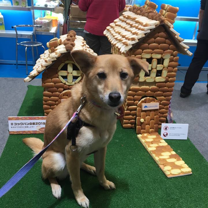 558e93d3 179e 4854 9586 d5c6c60db3eb 1553959863874