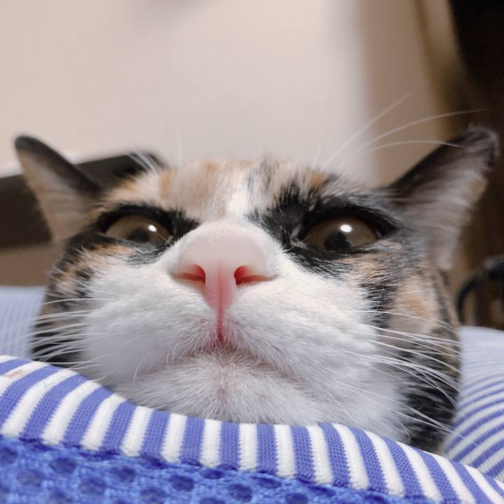 558eb9d7 fe67 4536 9120 85d876454bec 1567942340146