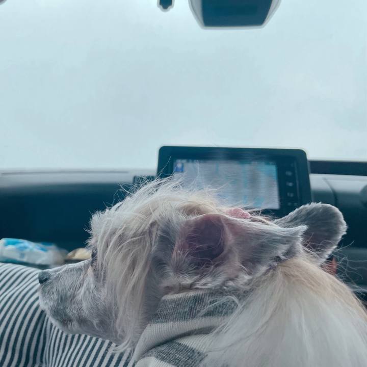 558ec2e4 d862 4226 94c7 9dd4b1fcb3a1 1773817389697