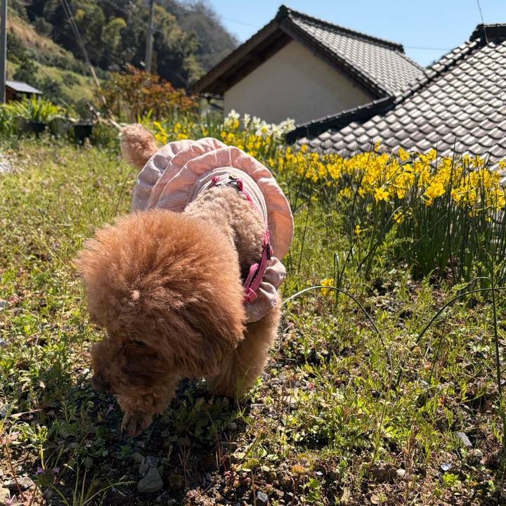 558ec3da ffea 4cd3 b717 2d530007dabb 1774130854364