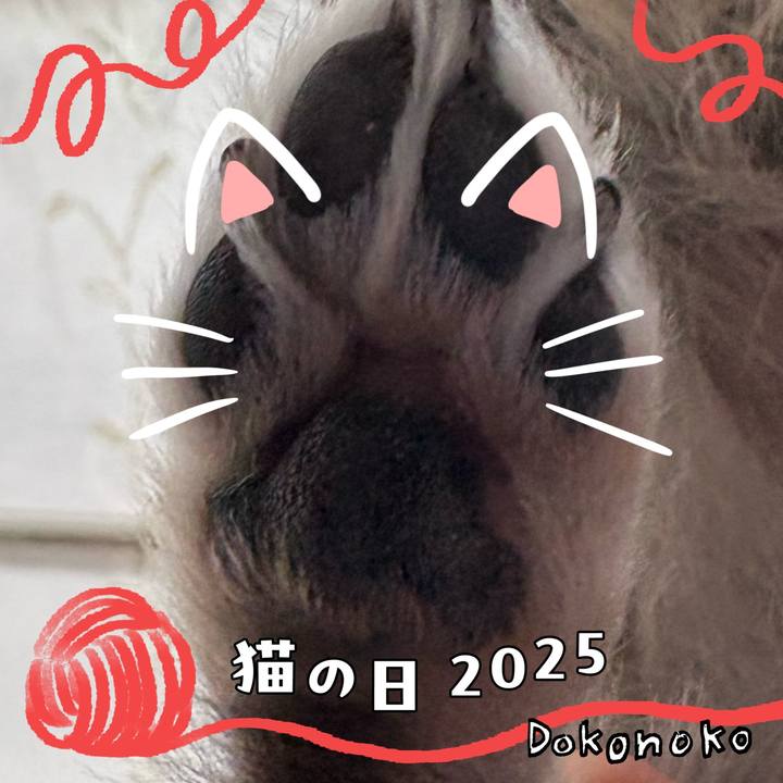 558ef292 12d9 4acc a004 881766ffecc2 1740204287318