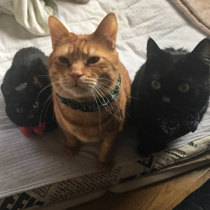 558f1e04 5ca8 489d bafd 3d4258132f22 1550961276647