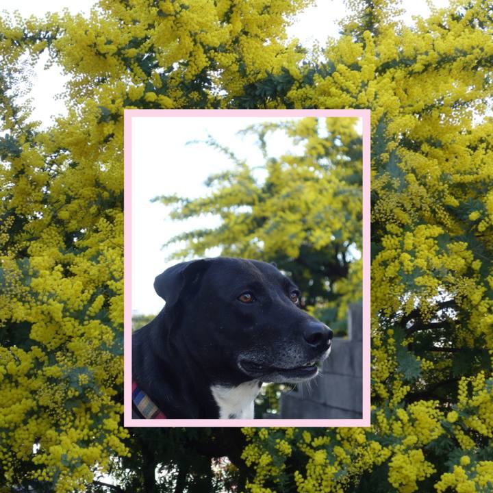 558f2c2f ab77 49f2 a566 463df9318b66 1646182727503