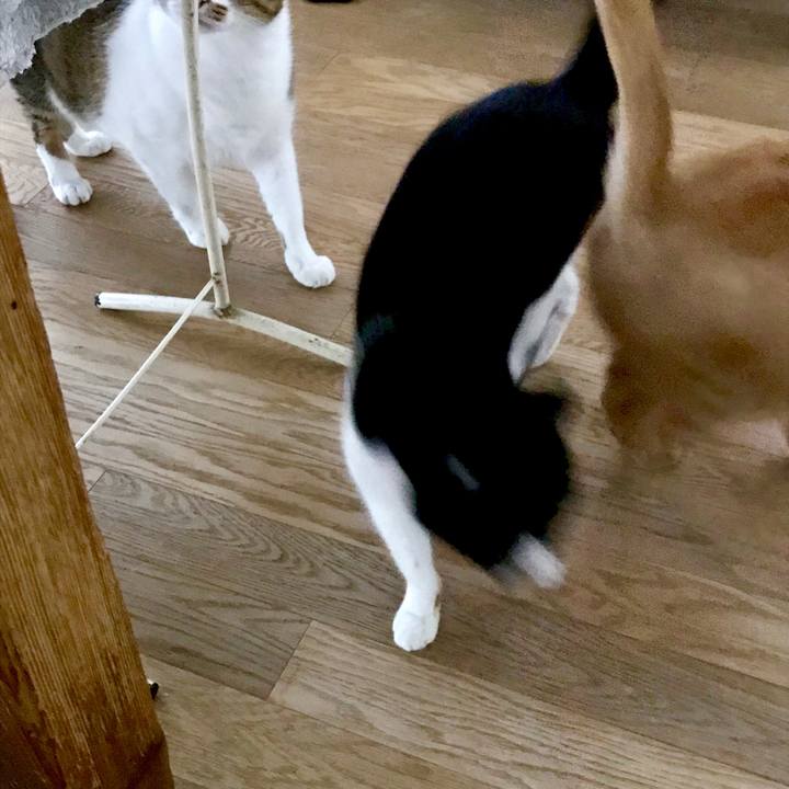 558f35a3 01a6 4eef aab6 78496dc210dc 1562904438795