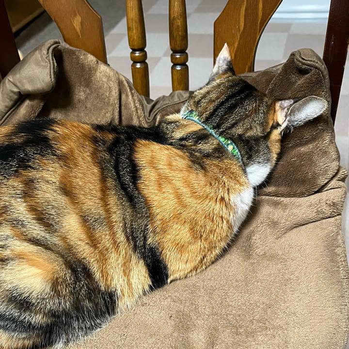 558fb11f 4a77 4cf5 9bef bd86c40d611b 1763771676694