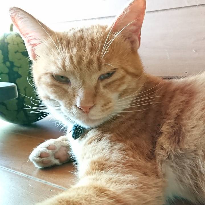 558fdba1 6613 45d1 8bf7 ced6f6b651f7 1566025981673