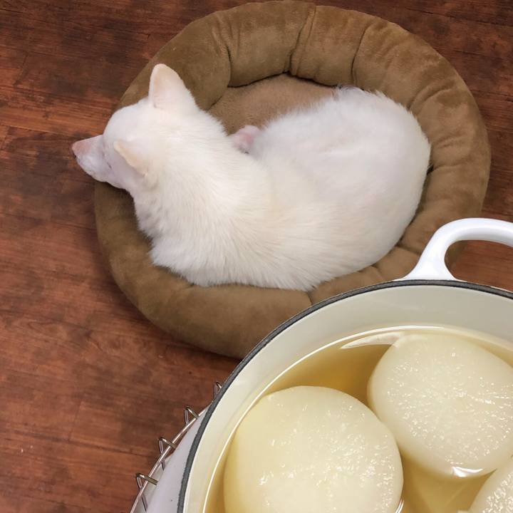 558fdcb2 e38c 4313 af9a fb146bfcb0c9 1577460817858