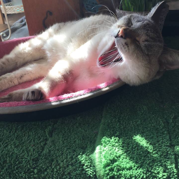 558fea07 e138 43c0 8324 338113a6a24c 1581573667479