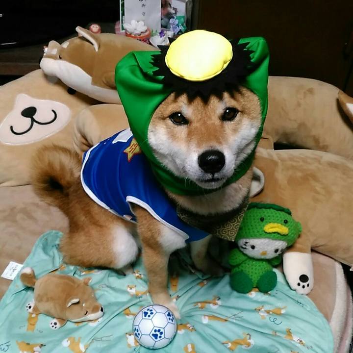 558ff5f7 2ef9 4581 af4a 1fed81ff8c24 1529400372674