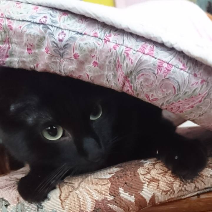 5590067c 656a 4c82 b2c3 20b0cba41b99 1578214047738