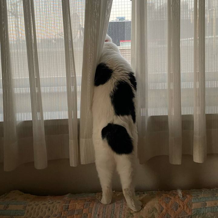 5590084a 276f 4fb6 9327 ff60c7f6f9d6 1611994126378