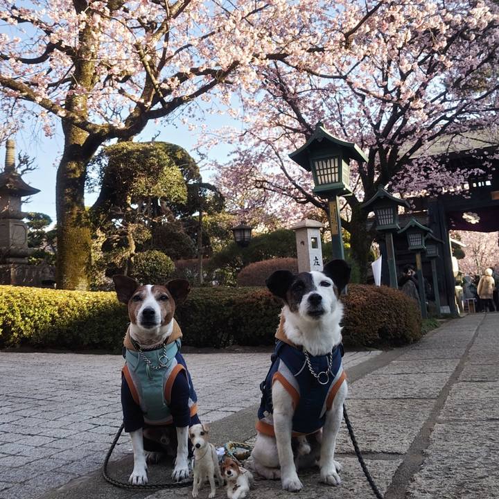 55901596 98a4 4fad 9bd3 a880d7514fad 1773316573345