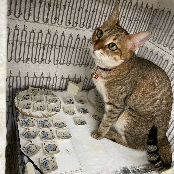 5590210a 9350 470c bf36 c5bb68a3d823 1694787193304