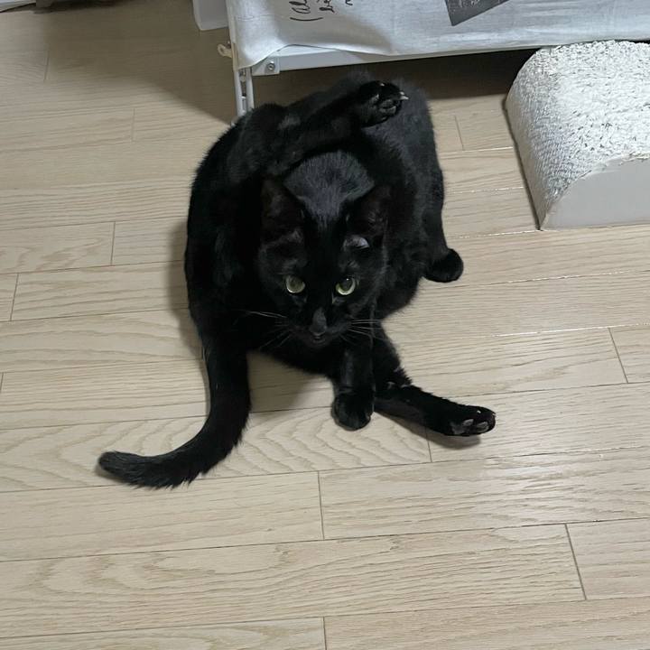 55902488 e5f5 4e36 9e16 3d706a963a22 1743251818605