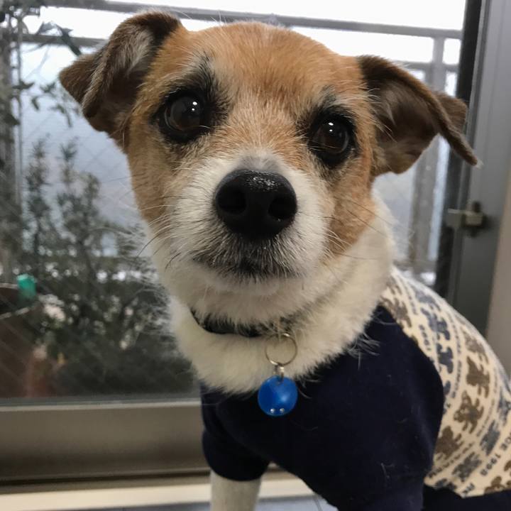 5590457d 92d2 4d5b b3f4 7e9013bf60c5 1580166002754