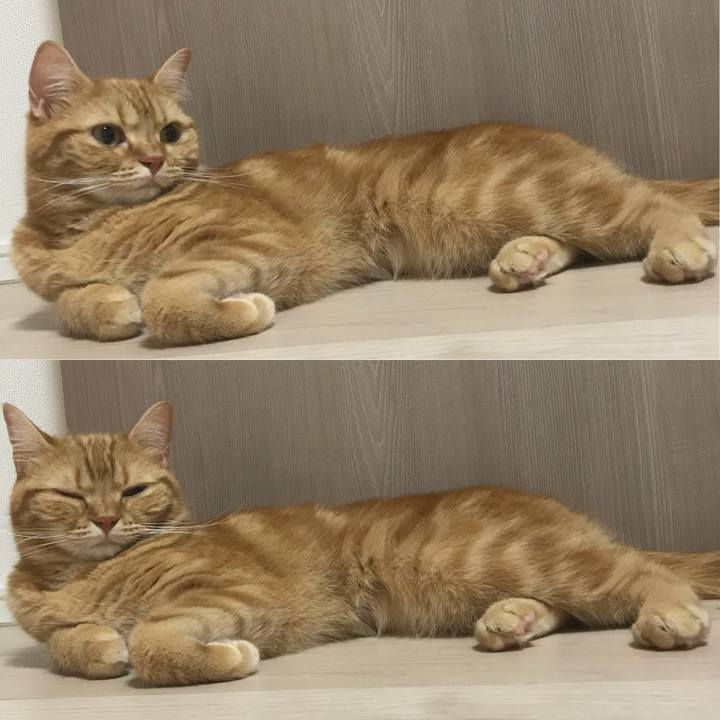 55907ce0 82c7 4152 969e 8d749fae941e 1531574305199