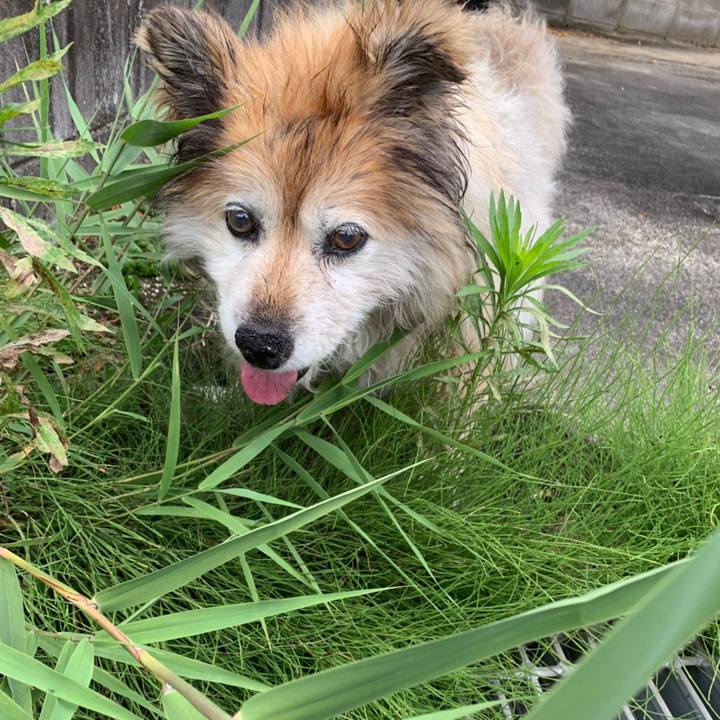 5590b23b a35a 4107 acef 1ba7896410fc 1561299231410