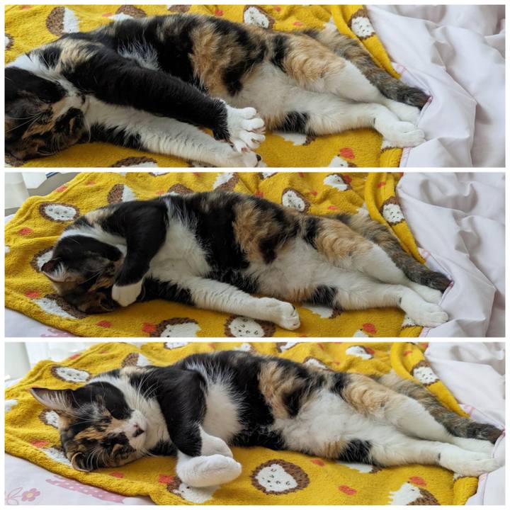 5590b2c0 b6e6 44ca b734 41afa2713d05 1686886434894