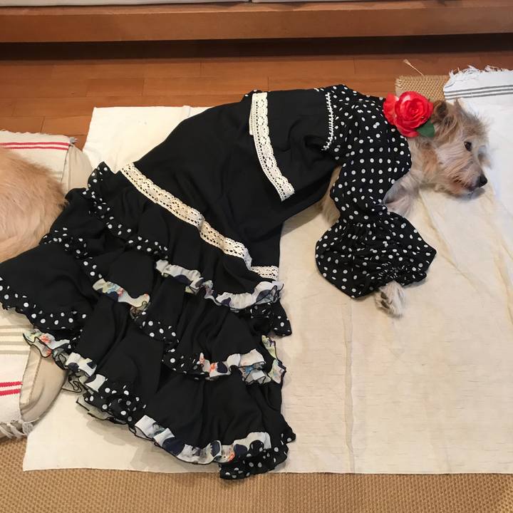 5590c2fc 1aa8 4592 98d8 f851e180b3bf 1575261961155