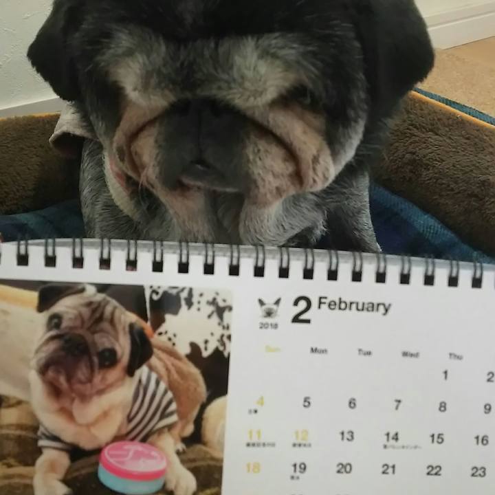 5590cac4 f649 4fbf 9a2a e9ef1cf60037 1549939771231