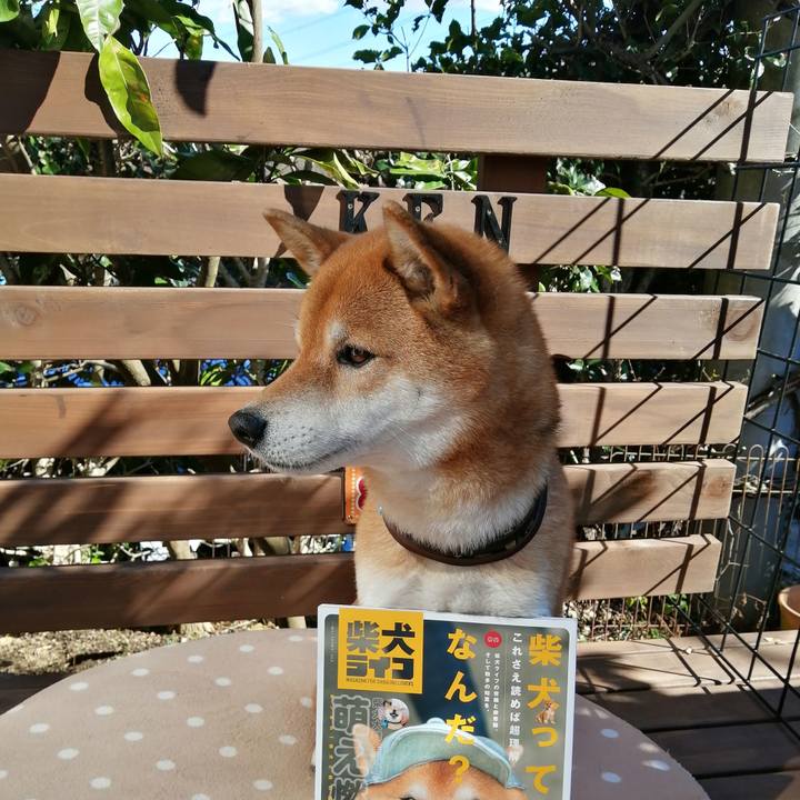 5590f8f4 b57a 4fe7 946a 21d08f512f45 1613451492559