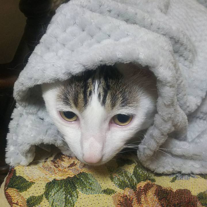 55912320 396f 44e2 83e8 2c62bbae31f1 1560176263124