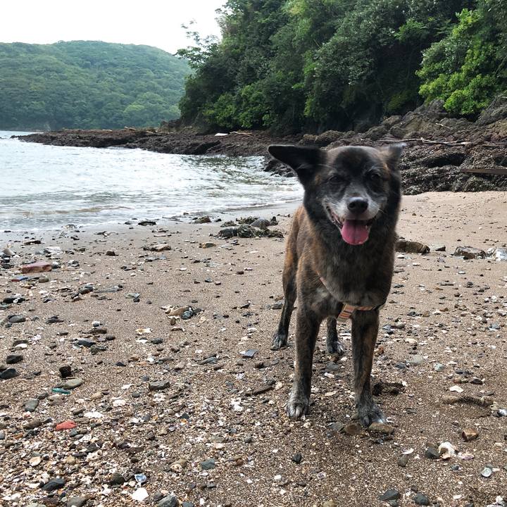 55916a13 6e83 4d31 9c72 09a32706eb53 1594683710156