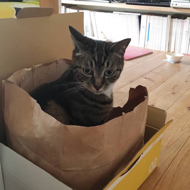 55917594 84f4 4ca9 ab02 34c4a93d68c4 1563682163166