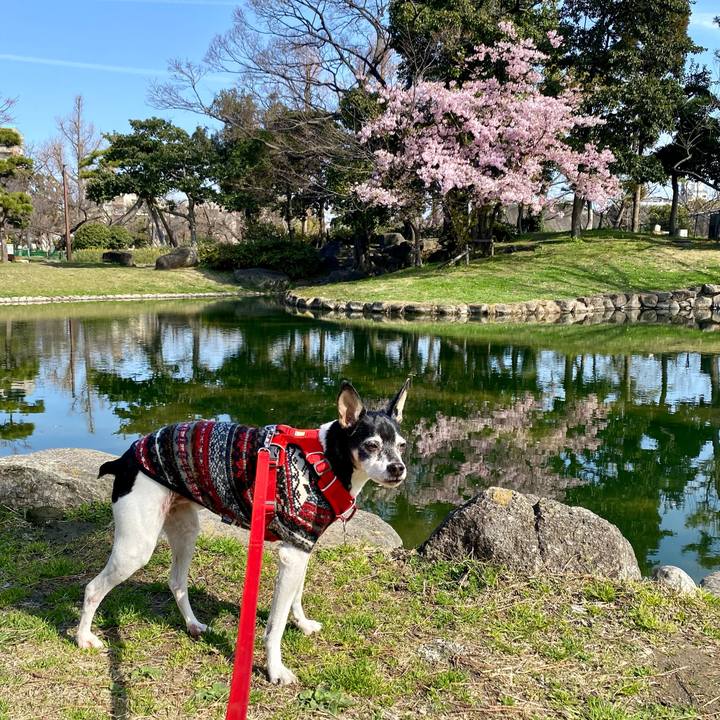 5591c9a0 53ed 427f a951 81f7e1a9c17a 1615092494527