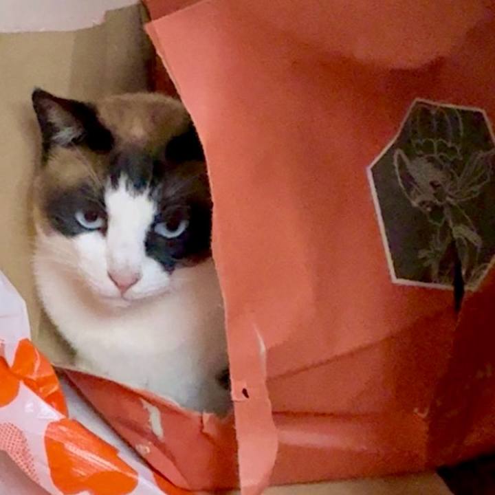 5591e233 9c20 4da5 8b56 227be90f1ae6 1749178816620