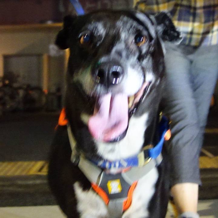 5591e744 5df2 4093 9752 d50d97955245 1725706969302