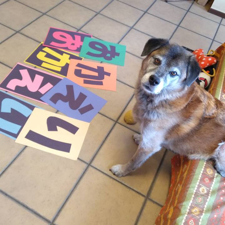 55921490 dd06 49e6 a47a a831a75e4bcd 1568010870506