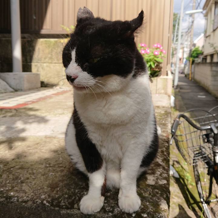 559218d6 a171 4af0 932c bffe020ee8b2 1627087055685