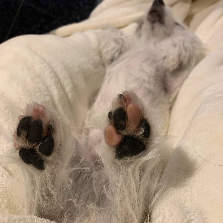 559232b1 30c5 476c b1e9 b6cc57545779 1607430582257