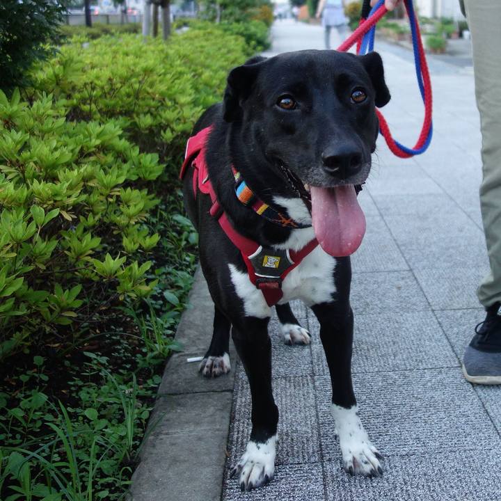 5592469d 21fe 4711 bb32 eaf7d66546af 1596190991498