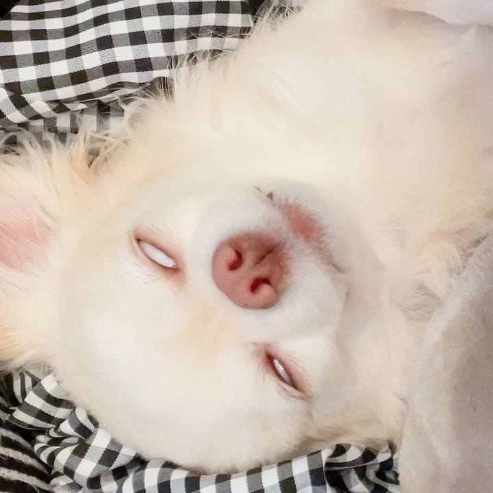 55925af9 30ed 4277 9d34 9422fb24218e 1713854625794