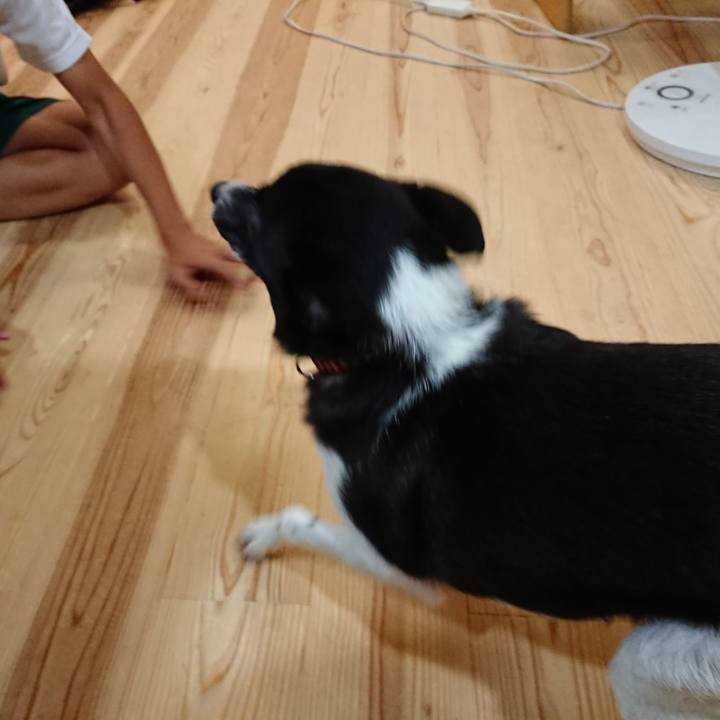 55926912 d4af 467d a179 6ad6b1b1552d 1601034018421