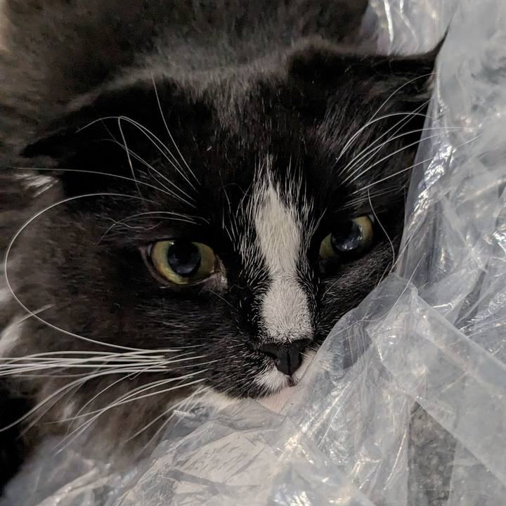 55928325 f18b 44ef ba85 6c9c1d255e3b 1682855073441