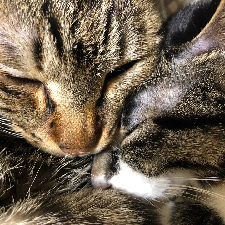 55928b00 722f 4ca6 a9da a5a77b023163 1519222425850