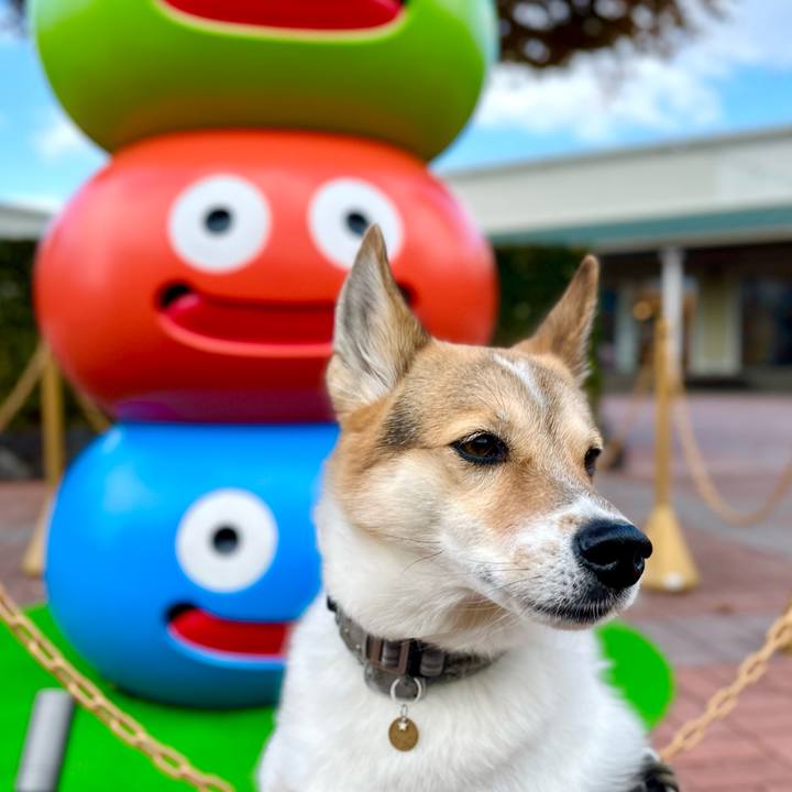 5592ec45 7b94 43ae b91d 7ace7bce1705 1763516648983