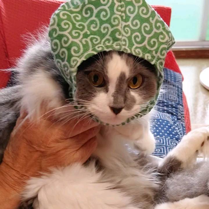 5593094d db64 49be 9fa5 5b8c82597a9f 1595558837966