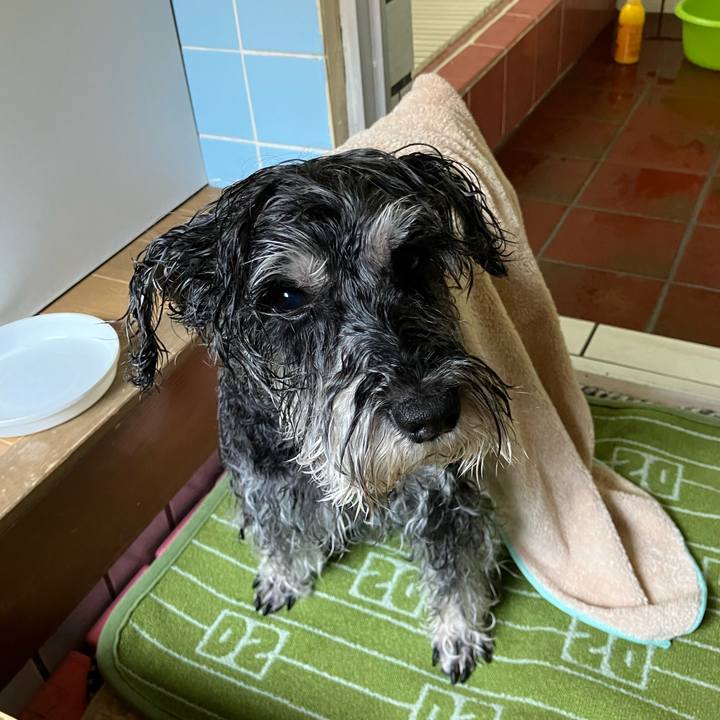 55930a75 2fa8 4536 ae87 ed442836e5e3 1715411738639