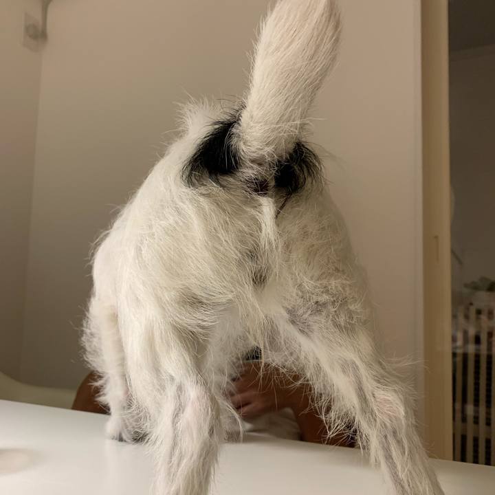 55930e8e c75c 4a6d a60e ce2bd0544d77 1561985319606