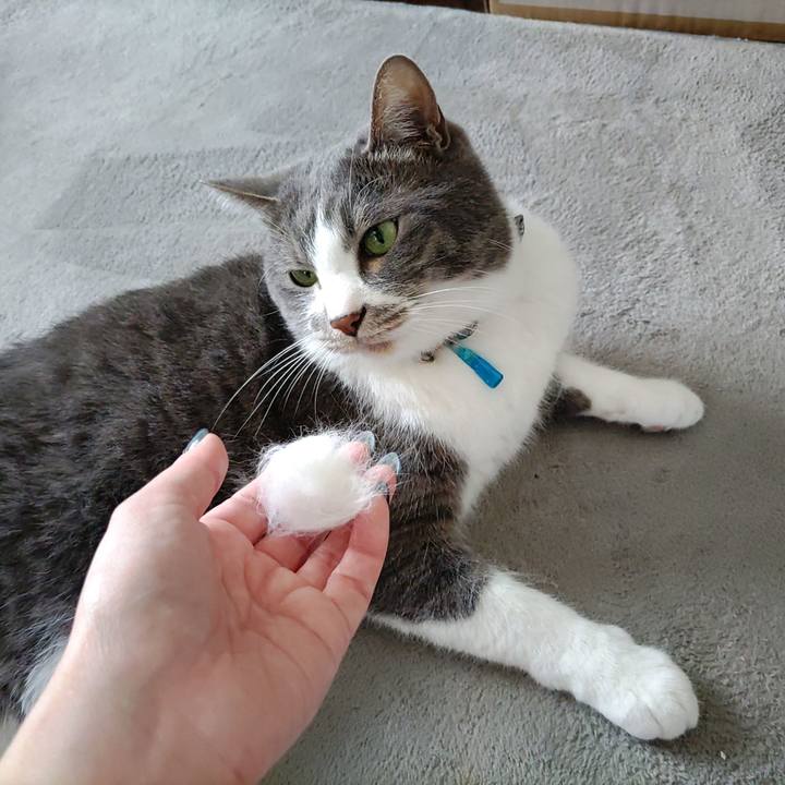 559312d0 10d8 48c4 82cc db337003c426 1713591284680