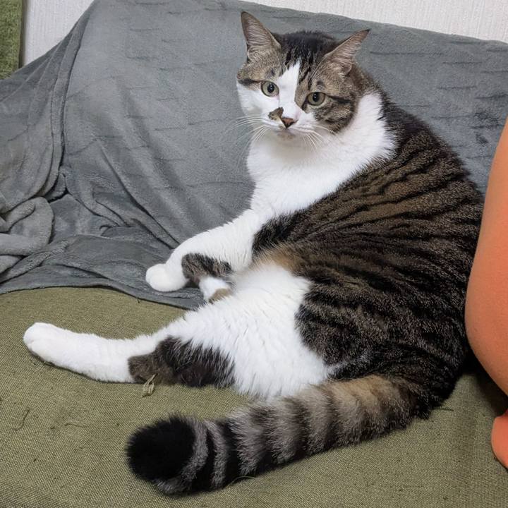 55931c61 293b 4c5a ab3e 67b96640d18d 1762822389094